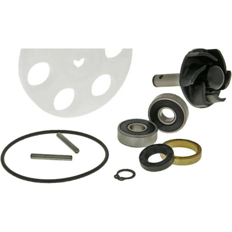 101 octane ip34590 reparaturkit wasserpumpe für minarelli lc von 101 Octane