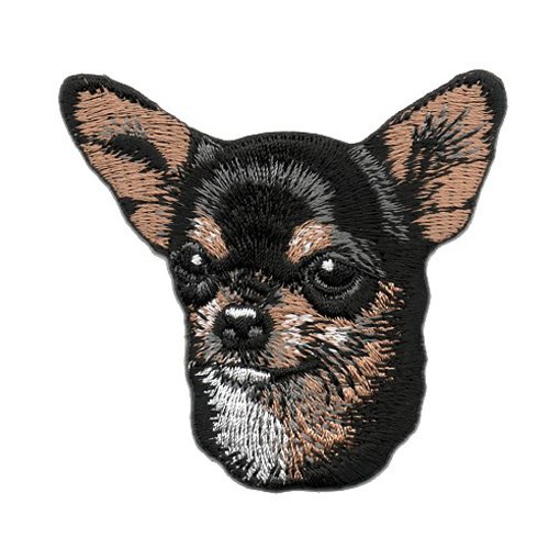 Aufnäher Bügelbild Aufbügler Iron on Patches Applikation Hund Chihuahuas 6,5 x 7,3cm vor134-2 von 1A-Kurzwaren
