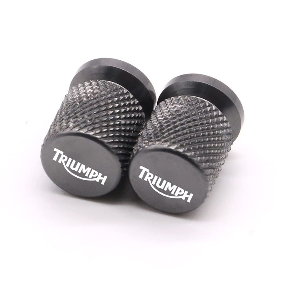 Motorrad Radreifen Ventilkappe, CNC Aluminiumschaft Luftanschluss Abdeckungsstecker Für Triumph Tiger 900/850 Street/Speed Triple Daytona 675 (Color : Titanium) von 2Bird