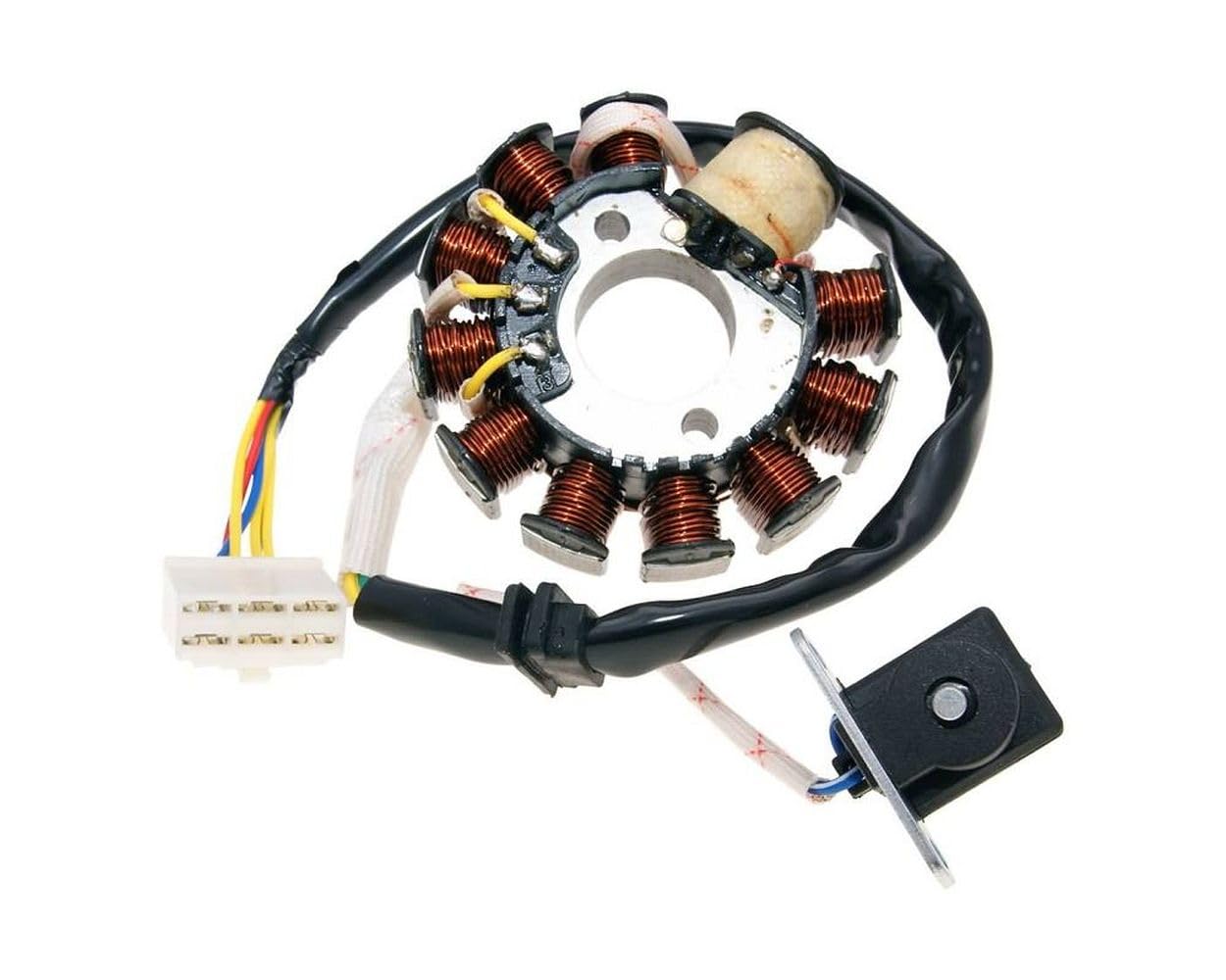 2EXTREME Lichtmaschine/Stator 11 Spulen 6-polig GY6 125, 150ccm kompatibel für Baja RT 150 4T AC, Baotian 2EXTREME Lichtmaschine/Stator 11 Spulen 6-polig GY6 125, 150ccm kompatibel für Baja RT 150 4T AC, Baotian von 2EXTREME