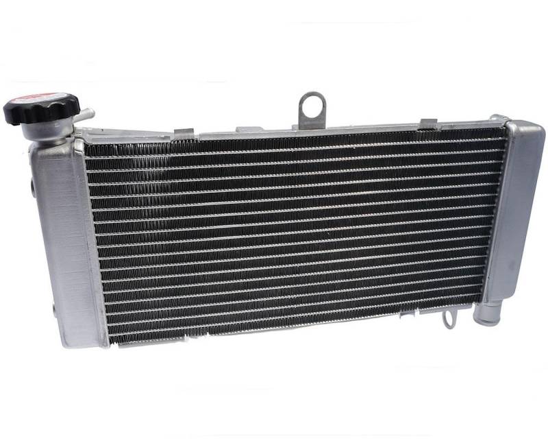 2EXTREME Wasserkühler Kühler kompatibel für Honda CB 600 F Hornet PC CB600 CB600F Baujahr 1998-2006 von 2EXTREME