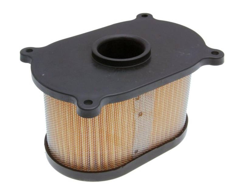 Luftfilter Einsatz STANDARD Hyosung GT 125, 250, Aquila 650 von 2EXTREME