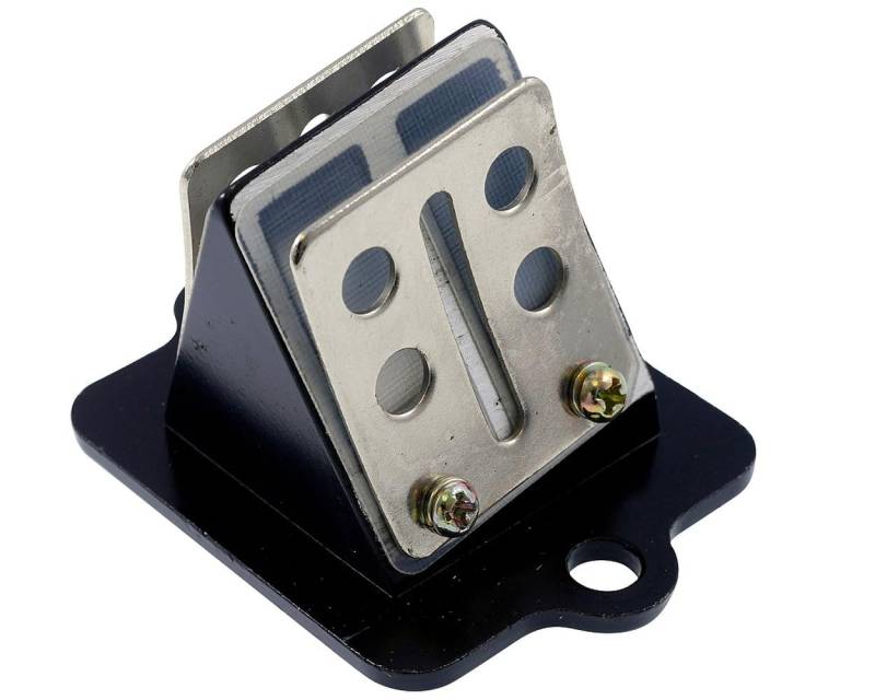2EXTREME Standard Membranblock kompatibel mit Piaggio Sfera, Skipper 125cc, SKR, Storm, TPH, X, Zip, 2 Cat, SP 50cc von 2EXTREME