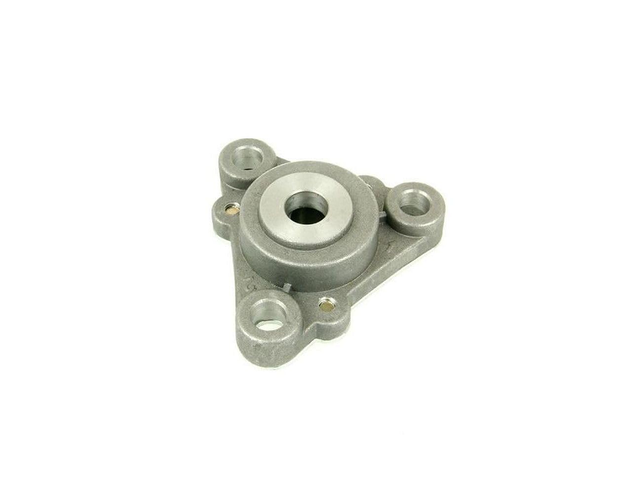 Ölpumpe Kurbelwelle 22Z GY6 50ccm 139QMB/QMA YIYING YY50QT-21A Ölpumpe Kurbelwelle 22Z GY6 50ccm 139QMB/QMA YIYING YY50QT-21A von 2EXTREME