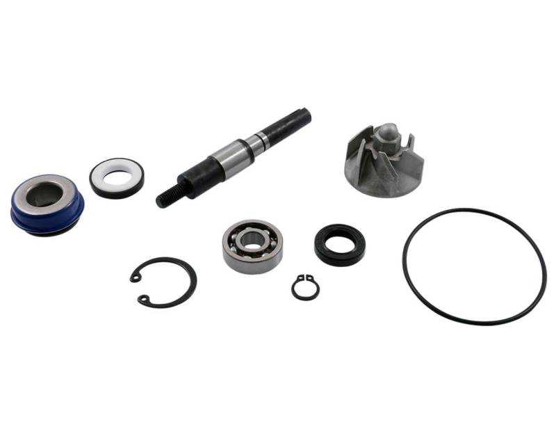 Reparaturkit Wasserpumpe - Dylan SES 125 4T JF10 von 2EXTREME