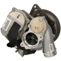 Lader, Aufladung KKK 53049880081 Links Lader, Aufladung KKK 53049880081 Links von 3K