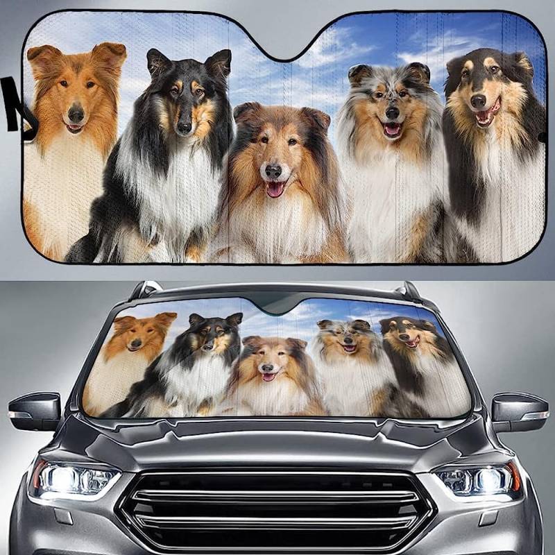 Frontscheibe Windschutzscheibe Schutz Niedliches Raues Collie-Blauer Himmel-Muster Autoscheibenabdeckung Faltbar Autoscheibenabdeckung Abdeckung Für Sommer Meisten Fahrzeuge Wagen von 452