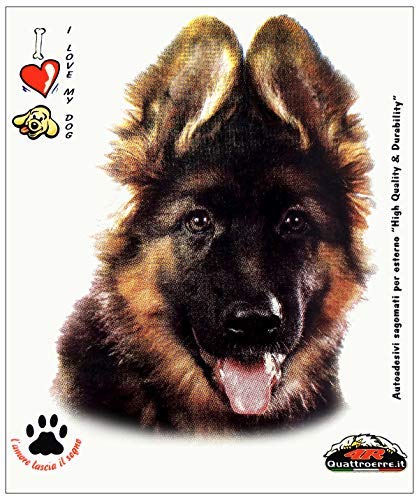 4R Quattroerre.it 8020 Sticker Aufkleber Hund Deutscher Schäferhund Welpe, 13.5 x 16 cm von 4R Quattroerre.it