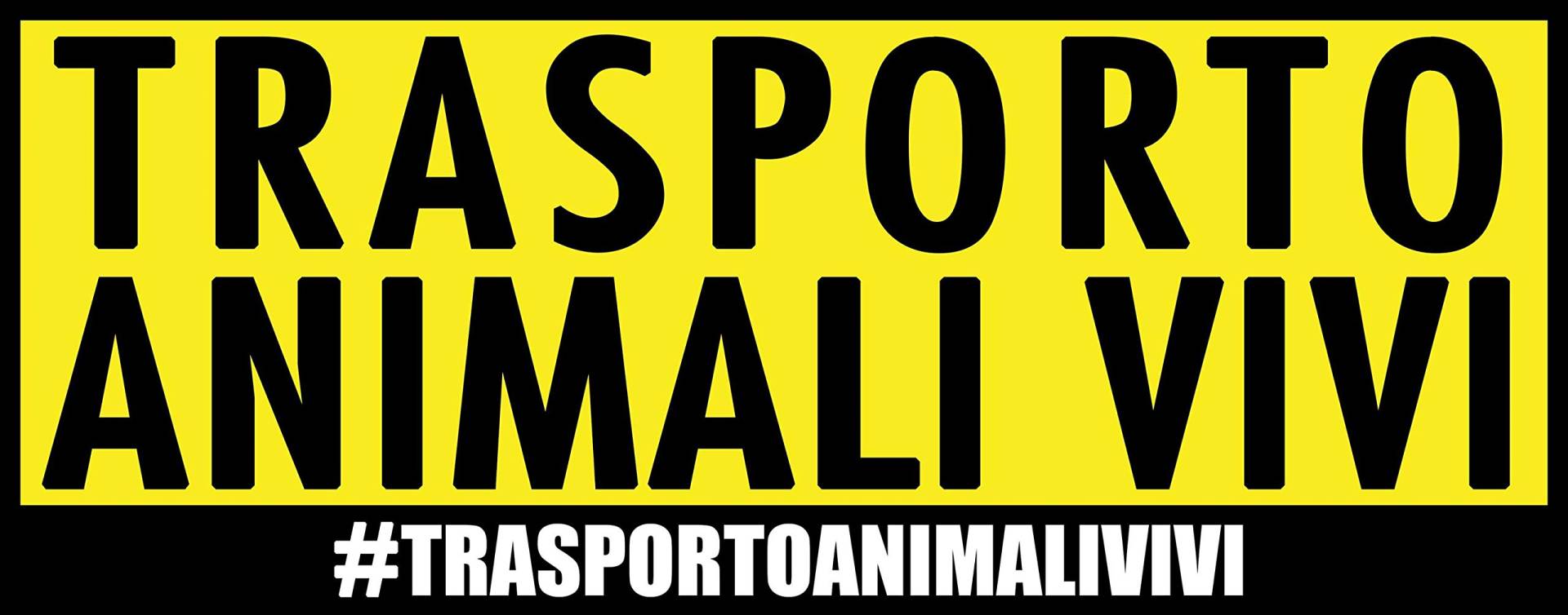 4R Quattroerre.it 810 Sticker Aufkleber Trasporto Animali Vivi, 13.5 x 16 cm 4R Quattroerre.it 810 Sticker Aufkleber Trasporto Animali Vivi, 13.5 x 16 cm von 4R Quattroerre.it