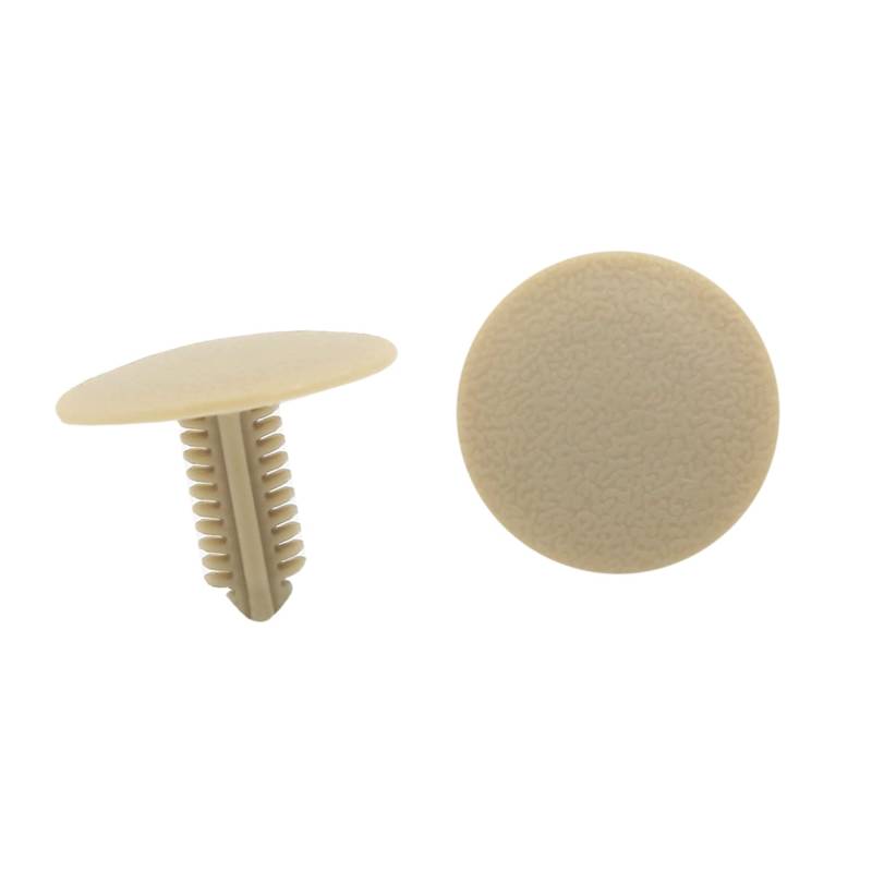 A ABSOPRO Niet 6mm Loch 24,5mm Kopf Kunststoff Beige (Set von 20) von A ABSOPRO