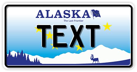 Funschilder.de - USA-Motiv, individuell gestaltetes Funschild, Wunschmotiv mit verschiedenen Staaten, Kennzeichen aus Aluminium mit Wunschtext, Made in Germany, 300 x 150 mm von A. Sievers GmbH