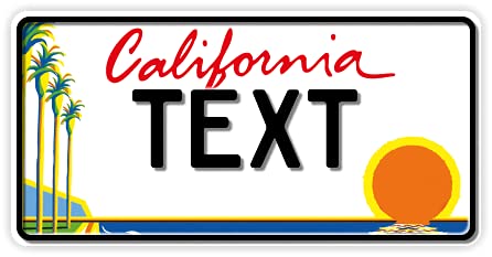 A. Sievers GmbH Funschilder.de - USA-Motiv, individuell gestaltetes Funschild, Wunschmotiv mit verschiedenen Staaten, Kennzeichen aus Aluminium mit Wunschtext, Made in Germany, 300 x 150 mm von A. Sievers GmbH