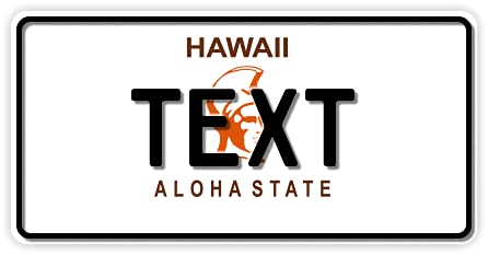 Funschilder.de - USA-Motiv, individuell gestaltetes Funschild, Wunschmotiv mit verschiedenen Staaten, Kennzeichen aus Aluminium mit Wunschtext, Made in Germany, 300 x 150 mm von A. Sievers GmbH