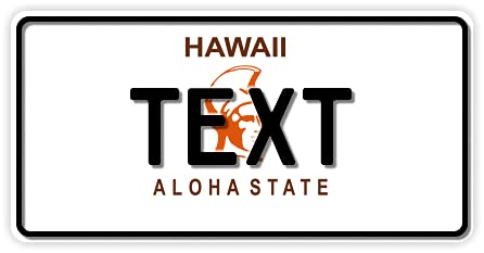 USA Kennzeichen | Fun Schild | Wunschkennzeichen | Namensschild | Fun Kennzeichen | 300 x 150 mm | verschiedene Staaten | Funschilder individuell mit Wunschtext günstig gestalten (Hawaii) von A. Sievers GmbH