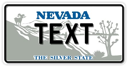 Funschilder.de - USA-Motiv, individuell gestaltetes Funschild, Wunschmotiv mit verschiedenen Staaten, Kennzeichen aus Aluminium mit Wunschtext, Made in Germany, 300 x 150 mm von A. Sievers GmbH