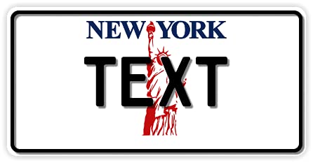 Funschilder.de - USA-Motiv, individuell gestaltetes Funschild, Wunschmotiv mit verschiedenen Staaten, Kennzeichen aus Aluminium mit Wunschtext, Made in Germany, 300 x 150 mm von A. Sievers GmbH