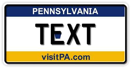 Funschilder.de - USA-Motiv, individuell gestaltetes Funschild, Wunschmotiv mit verschiedenen Staaten, Kennzeichen aus Aluminium mit Wunschtext, Made in Germany, 300 x 150 mm von A. Sievers GmbH