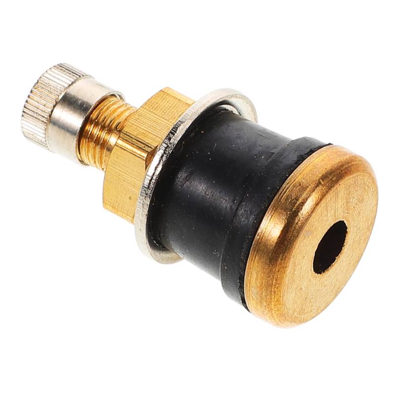 ABOOFAN schlauchloses Presta-Ventil Bus Reifenventil Tubeless Reifenventil Ventil für Tubeless Reifen Ventilschaft für schlauchlose Reifen Reifenventilstamm Ventilschaftkern Metall Golden von ABOOFAN