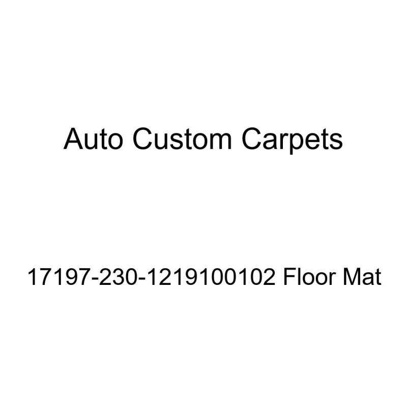 Auto Custom Carpets 17197-230-1219100102 Fußmatte von ACC