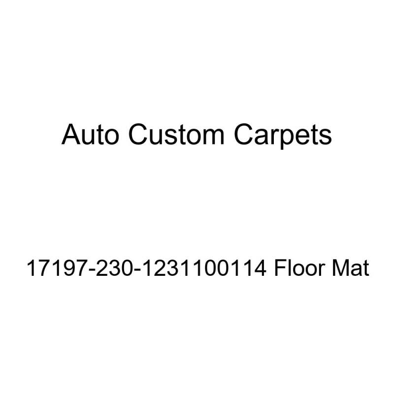 Auto Custom Carpets 17197-230-1231100114 Fußmatte von ACC