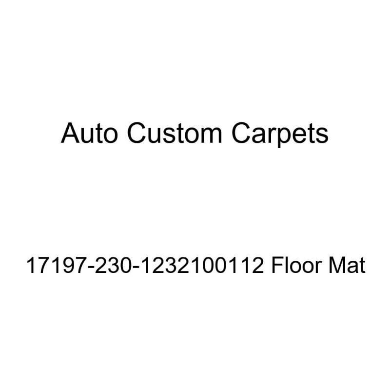 Auto Custom Carpets 17197-230-1232100112 Fußmatte von ACC