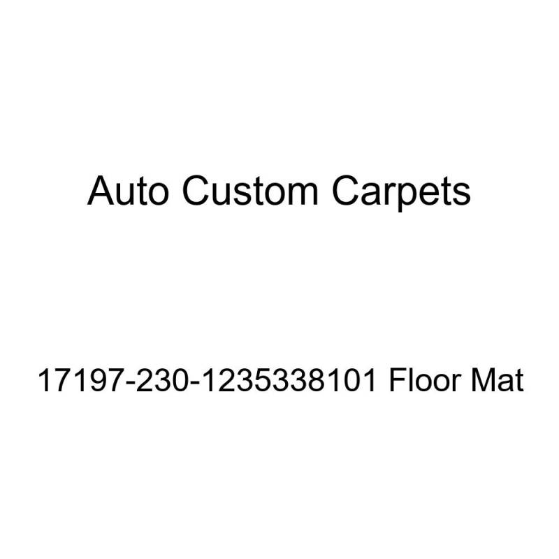 Auto Custom Carpets 17197-230-1235338101 Fußmatte von ACC