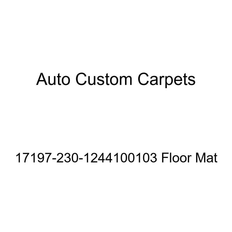 Auto Custom Carpets 17197-230-1244100103 Fußmatte von ACC