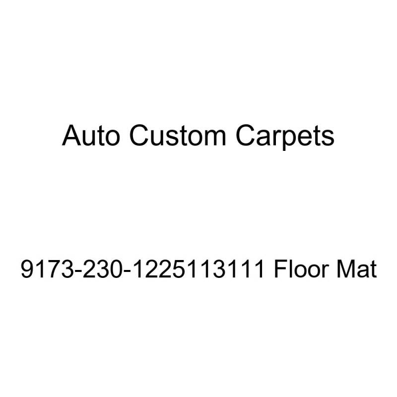 Auto Custom Carpets 9173-230-1225113111 Fußmatte von ACC