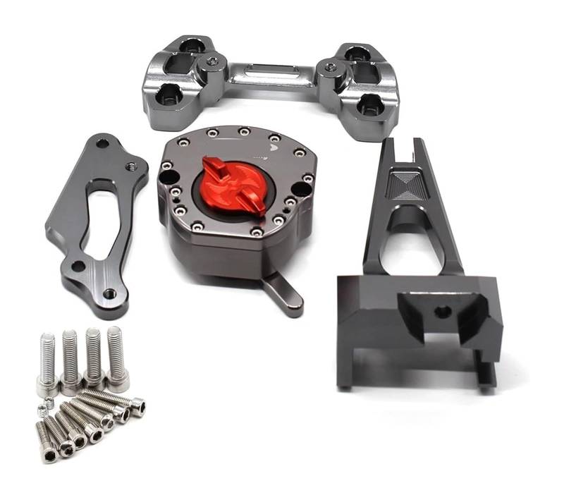 Dämpfer Stabilisator Für MT-09 Für MT09 Für Straße Für Rallye FZ-09 2014-2020 Stabilisator Mit Montage Halterung Unterstützung Kompatibel Mit Lenkungsdämpfer(Grey) von ACEBSBGGAP
