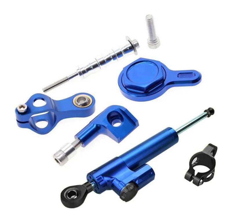 Dämpfer Stabilisator Für YZF R1 YZFR1 1998-2001 Lenkstabilisierungs-Montagehalterungssatz Motorrad-Lenkungsdämpferstabilisator Lenkungsdämpfer(X-1) von ACEBSBGGAP
