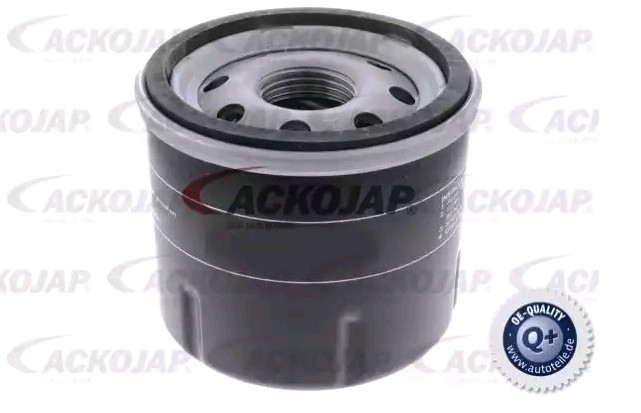 ACKOJA Ölfilter RENAULT,NISSAN,DACIA A38-0505 7700863124,7700869029,8200257642 Motorölfilter,Filter für Öl 8671005907,1520800QAG,8200292649,7700112686 ACKOJA Ölfilter RENAULT,NISSAN,DACIA A38-0505 7700863124,7700869029,8200257642 Motorölfilter,Filter für Öl 8671005907,1520800QAG,8200292649,7700112686 von ACKOJA