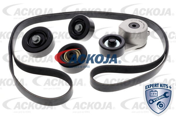 Keilrippenriemensatz ACKOJAP A52-0211 von ACKOJAP