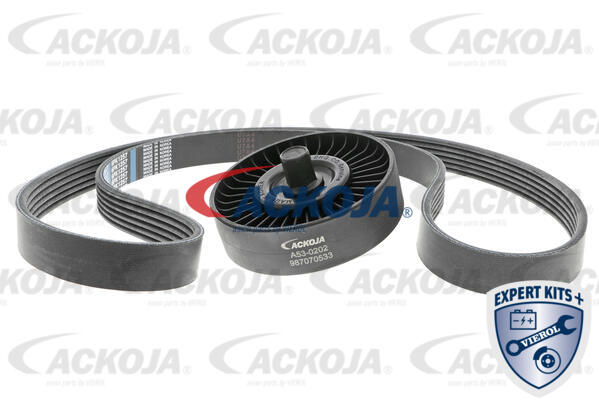 Keilrippenriemensatz ACKOJAP A53-0202 von ACKOJAP