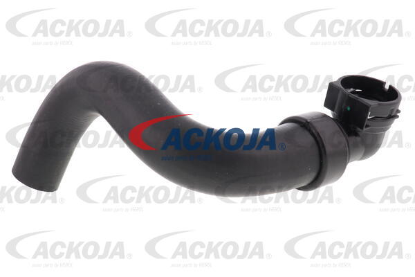 Kühlerschlauch unten ACKOJAP A52-1617 Kühlerschlauch unten ACKOJAP A52-1617 von ACKOJAP