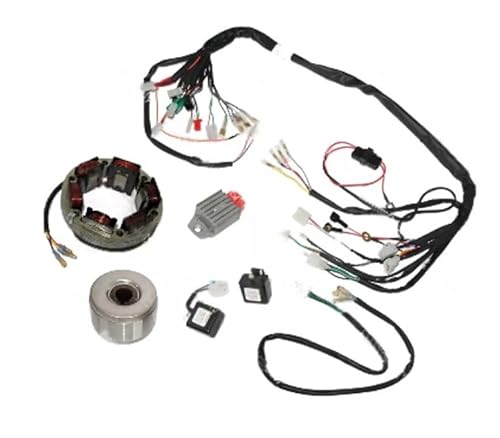 AEspares Kompatibel mit Royal Enfield Bullet Elektronischem Lichtmaschinen-Stator-Umbausatz, 6 V auf 12 V AEspares Kompatibel mit Royal Enfield Bullet Elektronischem Lichtmaschinen-Stator-Umbausatz, 6 V auf 12 V von AEspares