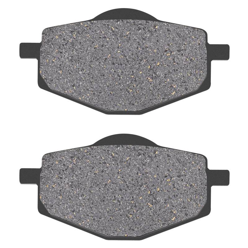 AHL 1 Paar Hinterer Bremsbeläge für Yamaha XT 600 E 1992-2003/ XTZ 660 E Tenere 1991-1998 von AHL