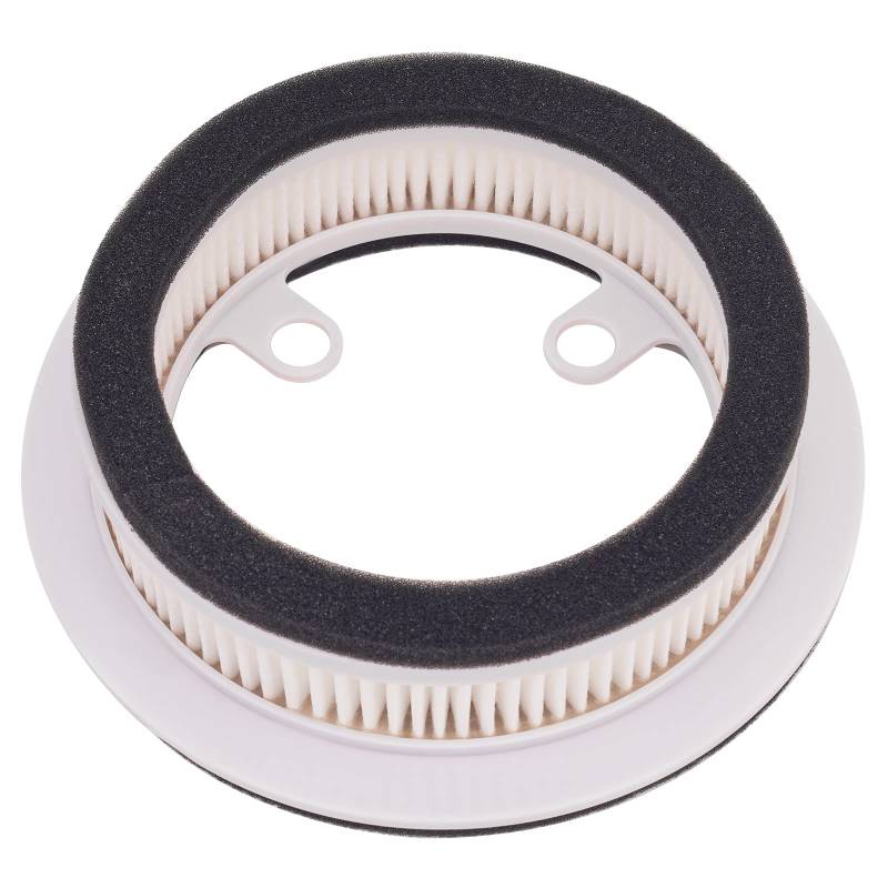 AHL Luftfilter Kompatibel mit yamaha XP500 T-MAX 2001-2012/XP500 T-MAX 530 2012-2016,XP530 T-MAX 2017-2021 59C-15408-00 von AHL