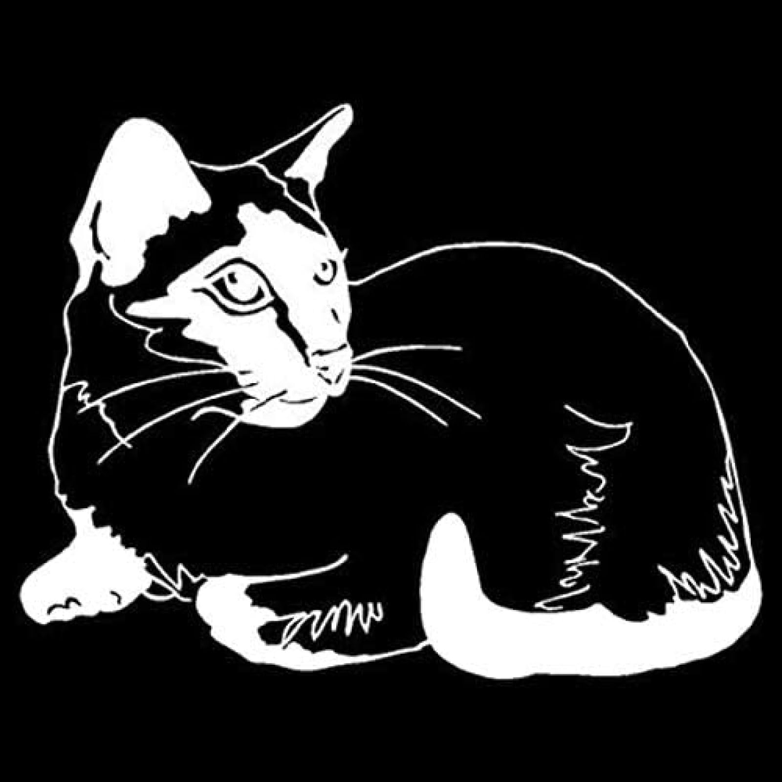 AIPASTN 13.2 * 10,2 cm Katzen Vinyl -Aufkleber -Autoaufkleber Süßes Tier Fensteraufkleber Zubehör 3PS AIPASTN 13.2 * 10,2 cm Katzen Vinyl -Aufkleber -Autoaufkleber Süßes Tier Fensteraufkleber Zubehör 3PS von AIPASTN