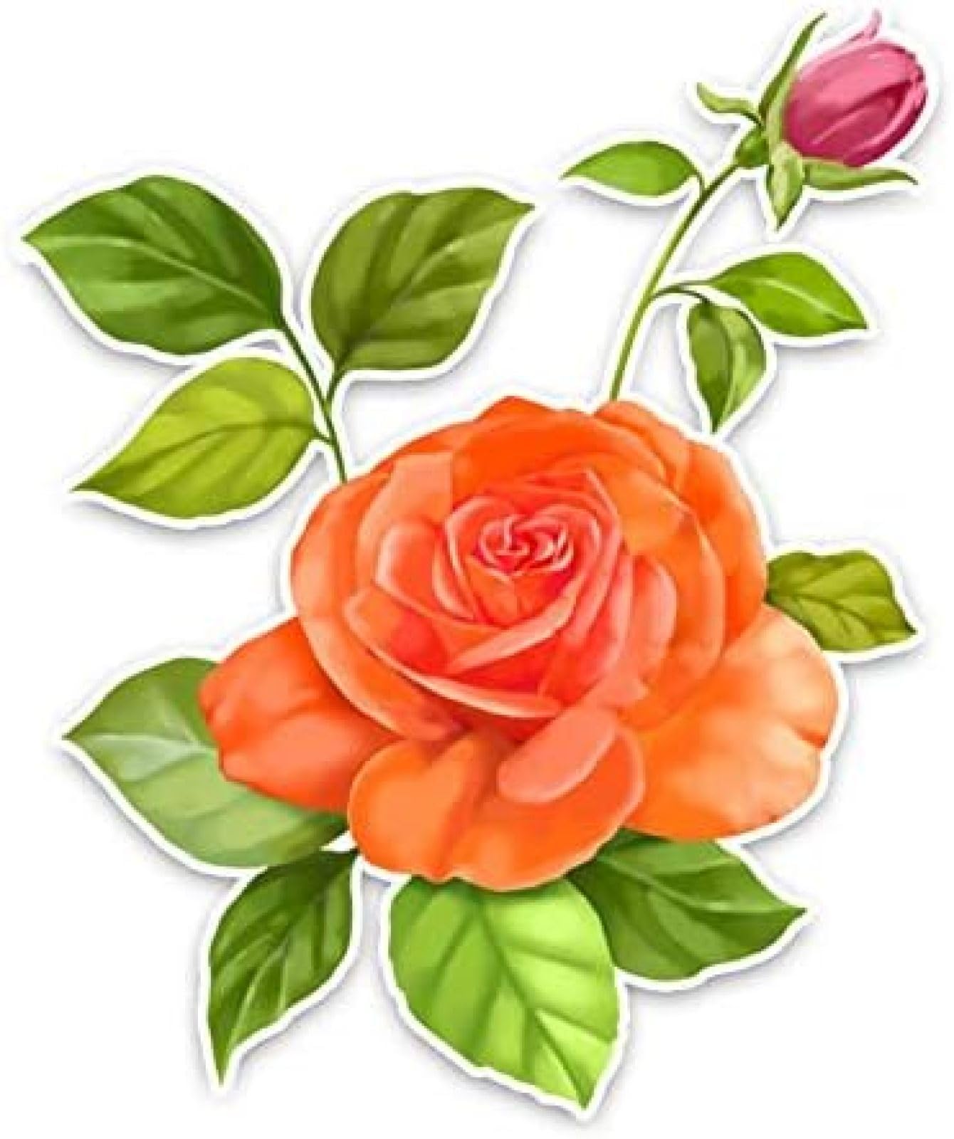 AIPASTN Aufkleber 11,6 X 14,1 cm Schön Eine Rose Blumen Dekor Auf Aufkleber Personalisierte Grafik 1PS AIPASTN Aufkleber 11,6 X 14,1 cm Schön Eine Rose Blumen Dekor Auf Aufkleber Personalisierte Grafik 1PS von AIPASTN