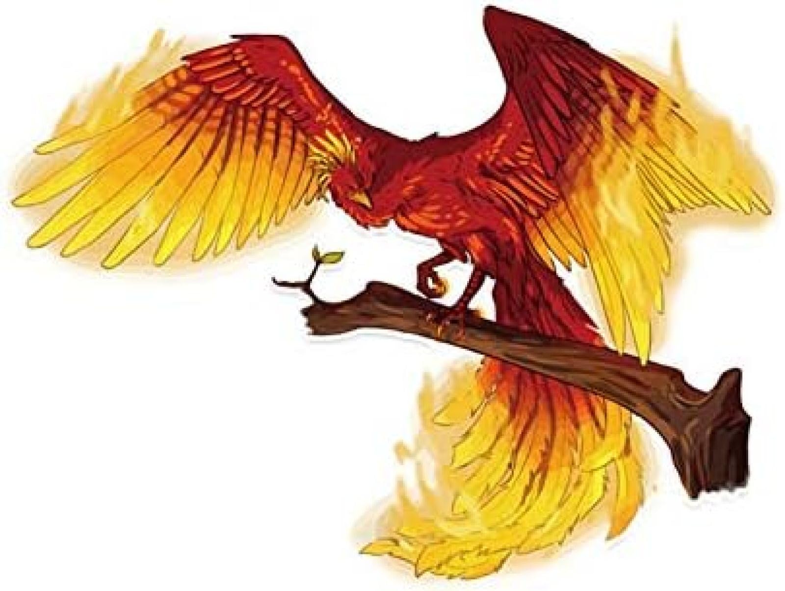 AIPASTN Aufkleber 14,4 X 11 cm Coolste Edle Goldene Phoenix Flamme Fliege PVC -Fensterdekoration Autosautoaufkleber 1PS AIPASTN Aufkleber 14,4 X 11 cm Coolste Edle Goldene Phoenix Flamme Fliege PVC -Fensterdekoration Autosautoaufkleber 1PS von AIPASTN
