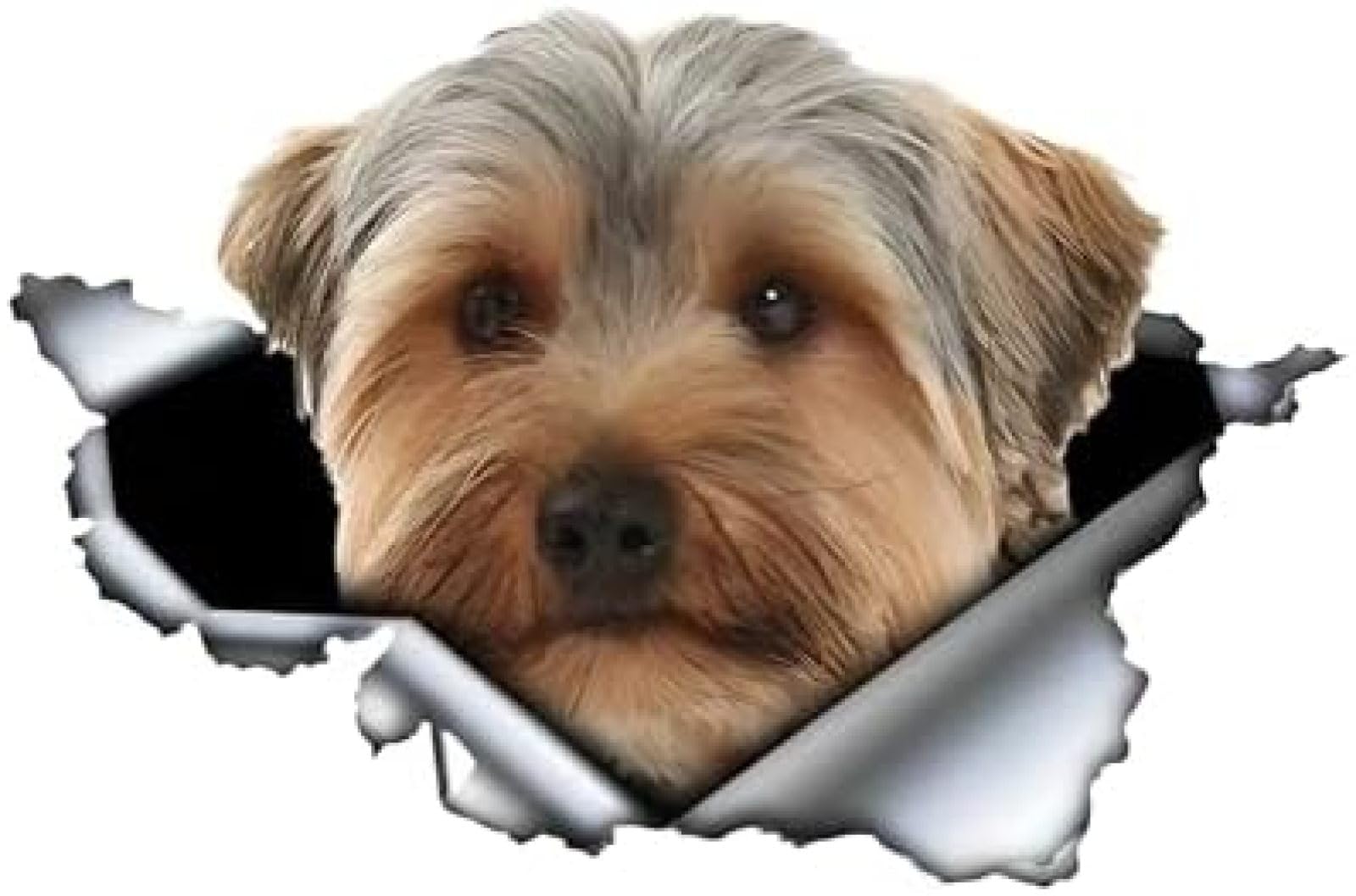 AIPASTN Auto Aufkleber Yorkshire Terrier 15 cm (5,9 Zoll) 3D Realistischer Hund Aufkleber, Wasserdicht, Reflektierend, Braun, Schwarz 3PS von AIPASTN