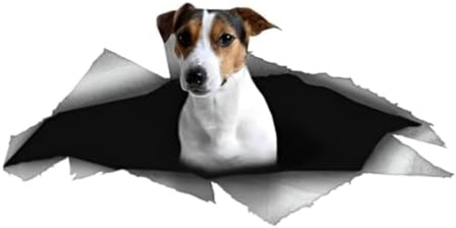 AIPASTN Autoaufkleber Jack Russell Terrier Aufkleber 18 cm (7,1 Zoll) Jack Russell Terrier Autoaufkleber 3D Ripper Aufkleber Hund Lustiger Reflektierender Aufkleber Stoßfänger wasserdichte Dekor 2PS von AIPASTN