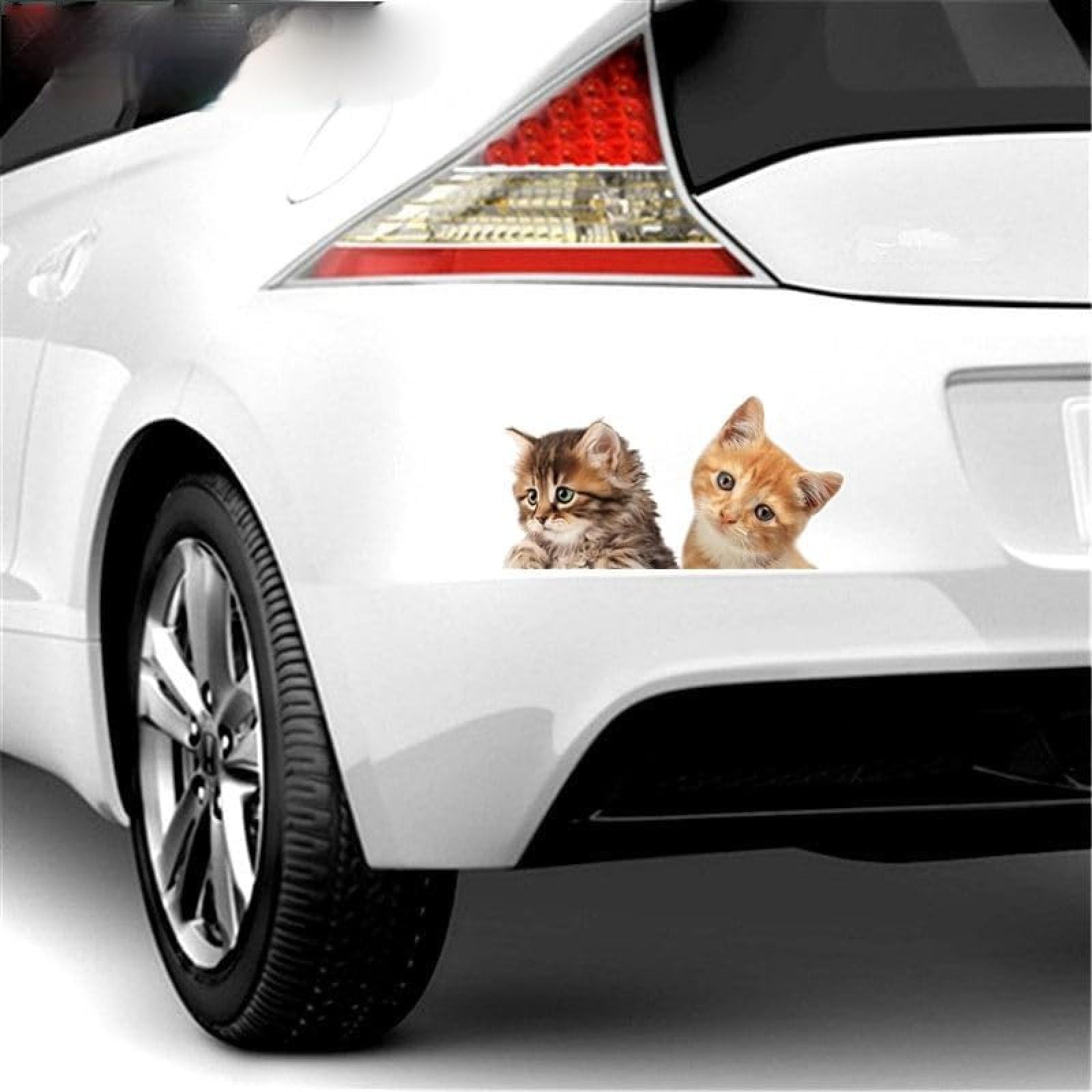 AIPASTN British Cat Kätzchen Fenster Wandauto Motorrad -Auto -Aufkleber -Aufkleber 17 cm*13 cm 1PS AIPASTN British Cat Kätzchen Fenster Wandauto Motorrad -Auto -Aufkleber -Aufkleber 17 cm*13 cm 1PS von AIPASTN