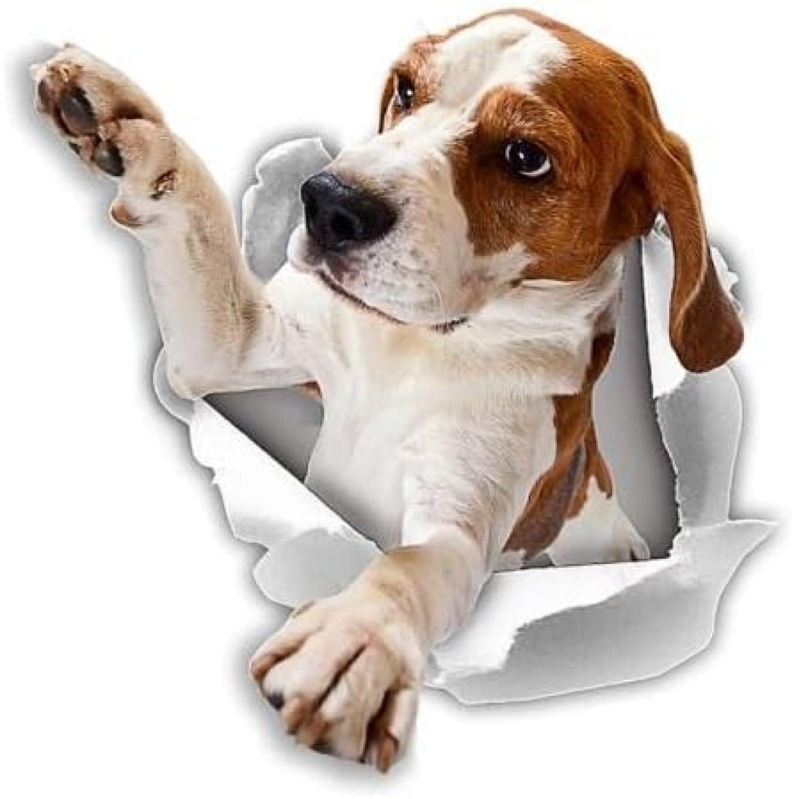 AIPASTN Car Aufkleberhund An Bord 20 cm Winston Bear 3D Hundeaufkleber, Die Beagle -Aufkleber Für Wand, Kühlschrank, Toilette CSS1A16761 Erreichen 3PS AIPASTN Car Aufkleberhund An Bord 20 cm Winston Bear 3D Hundeaufkleber, Die Beagle -Aufkleber Für Wand, Kühlschrank, Toilette CSS1A16761 Erreichen 3PS von AIPASTN
