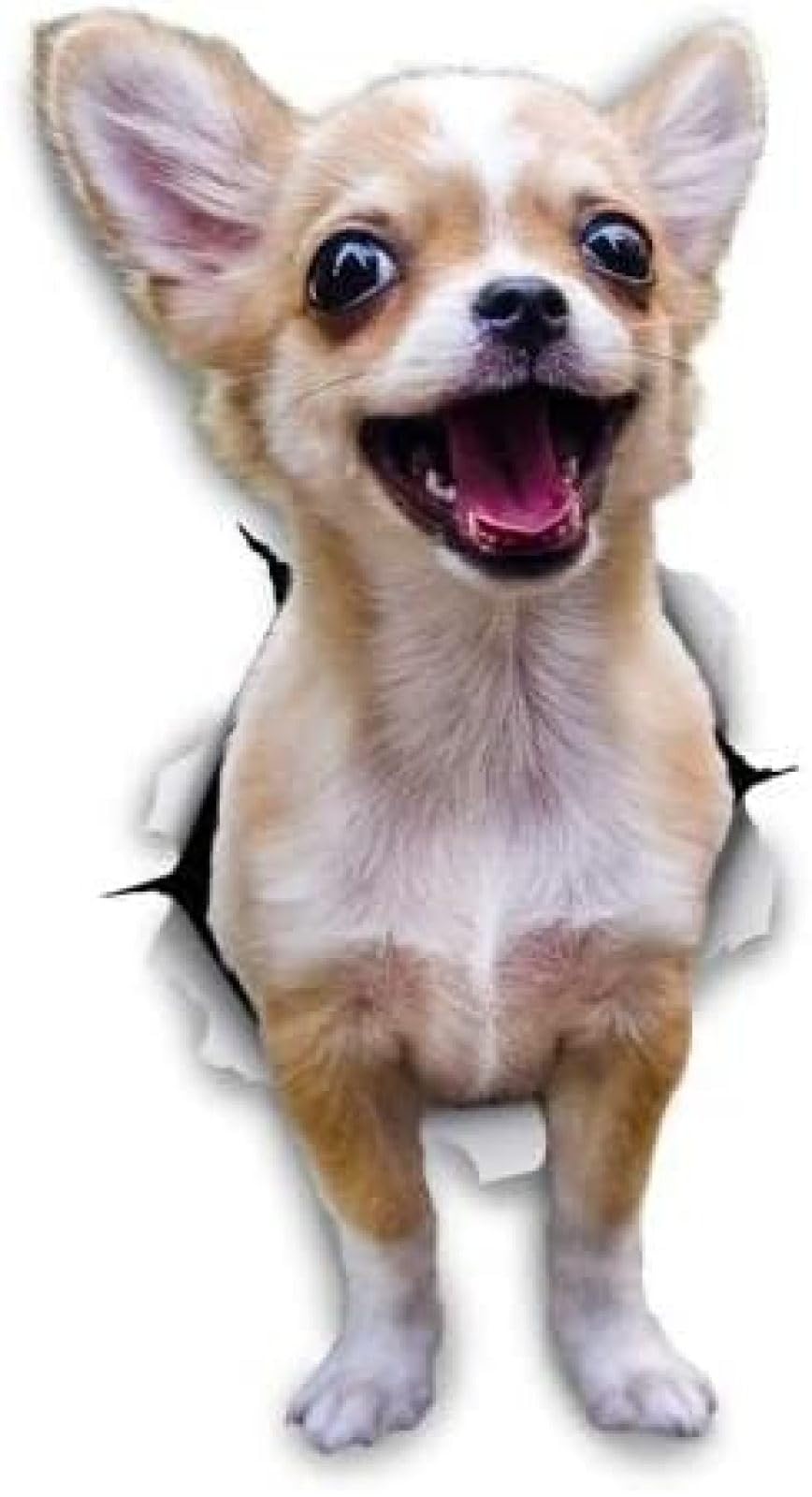 AIPASTN Car Sticker Dog An Bord 18 cm (7,08 Zoll) Winston & Beardog Aufkleber Aufgeregte Chihuahua Für Wand, Kühlschrank, Toilette Und Mehr C3208sh 3PS von AIPASTN