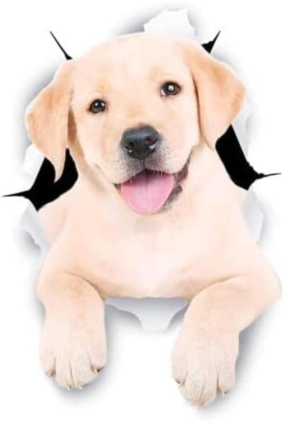 AIPASTN Car Sticker Dog An Bord Von 18 cm (7,08 Zoll) Winston & Beardog Aufkleber Süße Weiße Labrador Retriever -Aufkleber Für Wand, Kühlschrank, Toilette Und Mehr C3035sh 1PS von AIPASTN