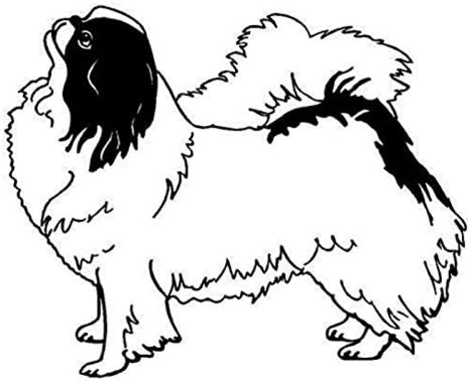 AIPASTN Hundewagenaufkleber Reflektierende Vinyl -Aufkleber -Auto -Styling -Stoßfänger Dekoration 16,2 * 13,1 cm 3PS AIPASTN Hundewagenaufkleber Reflektierende Vinyl -Aufkleber -Auto -Styling -Stoßfänger Dekoration 16,2 * 13,1 cm 3PS von AIPASTN
