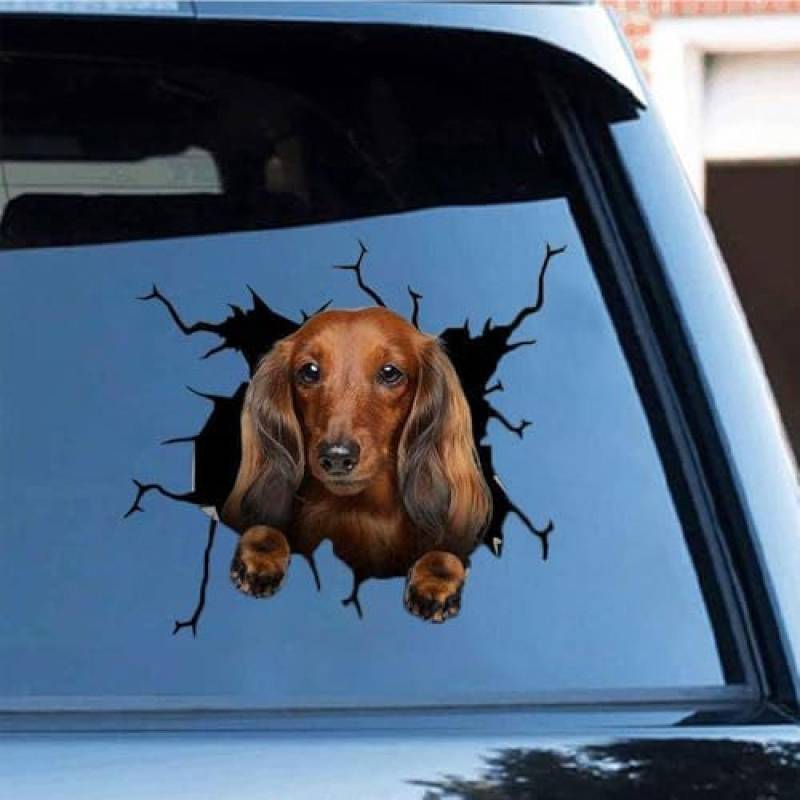 AIPASTN Lustiger Dackel -Fenster -Autoaufkleber, 11,8x11.8in 3D Vinyl Wasserdicht 1PS von AIPASTN