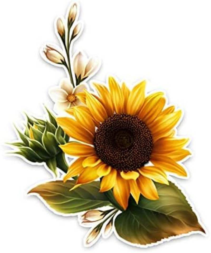AIPASTN Sticker 11.5 X 13.7CM Sunflower Decor Flowers Car Stickers Personalized Colored 1PS von AIPASTN