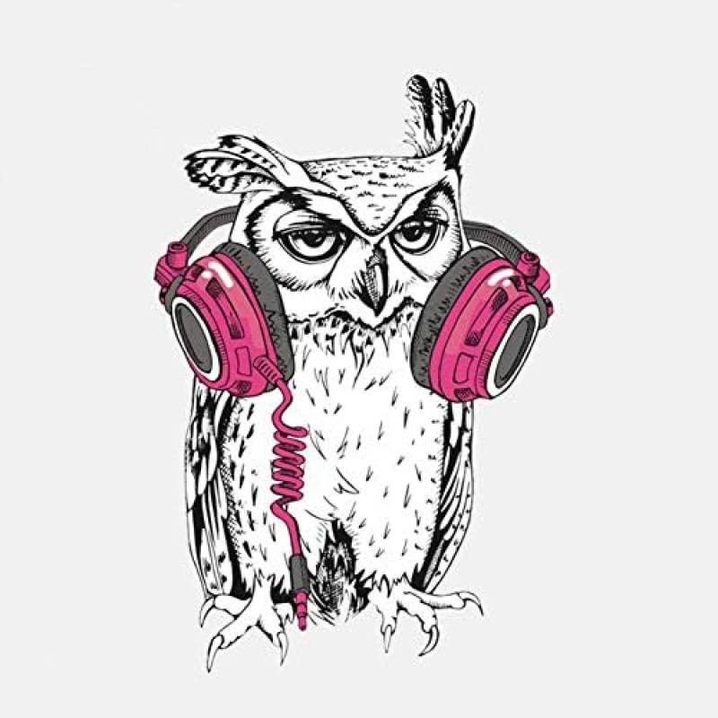 AIPASTN Sticker 9.7CM X 14.4CM Owl Wearing Headphones PVC Window Decoration Car Sticker 1PS von AIPASTN